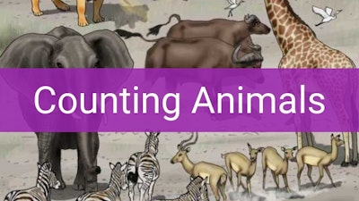 Preview for Counting Animals