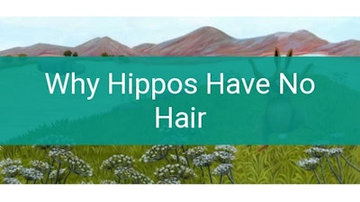 Preview for Why Hippos Have No Hair