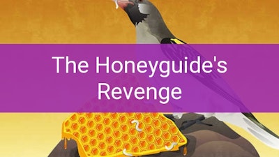 Preview for The Honeyguide's Revenge
